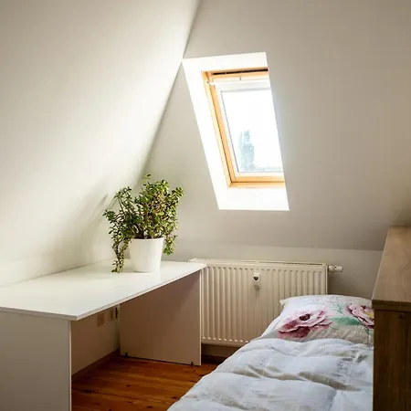 公寓 Doppelhaus- Schleussig , Moderner Altbau Dachetage Mit 2 Schlafzimmern Und Separatem Zusatzzimmer , Parkplatz - Balkon - Kamin - Eicheparkett - Arbeitsplatz